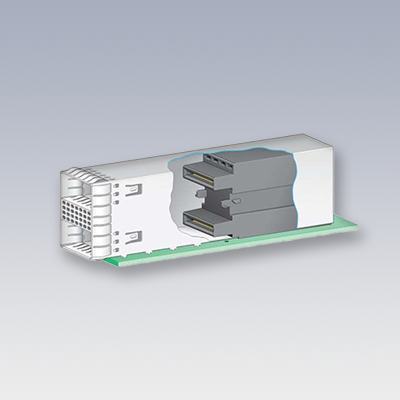 QSFP-DD module und 2x1 Cage